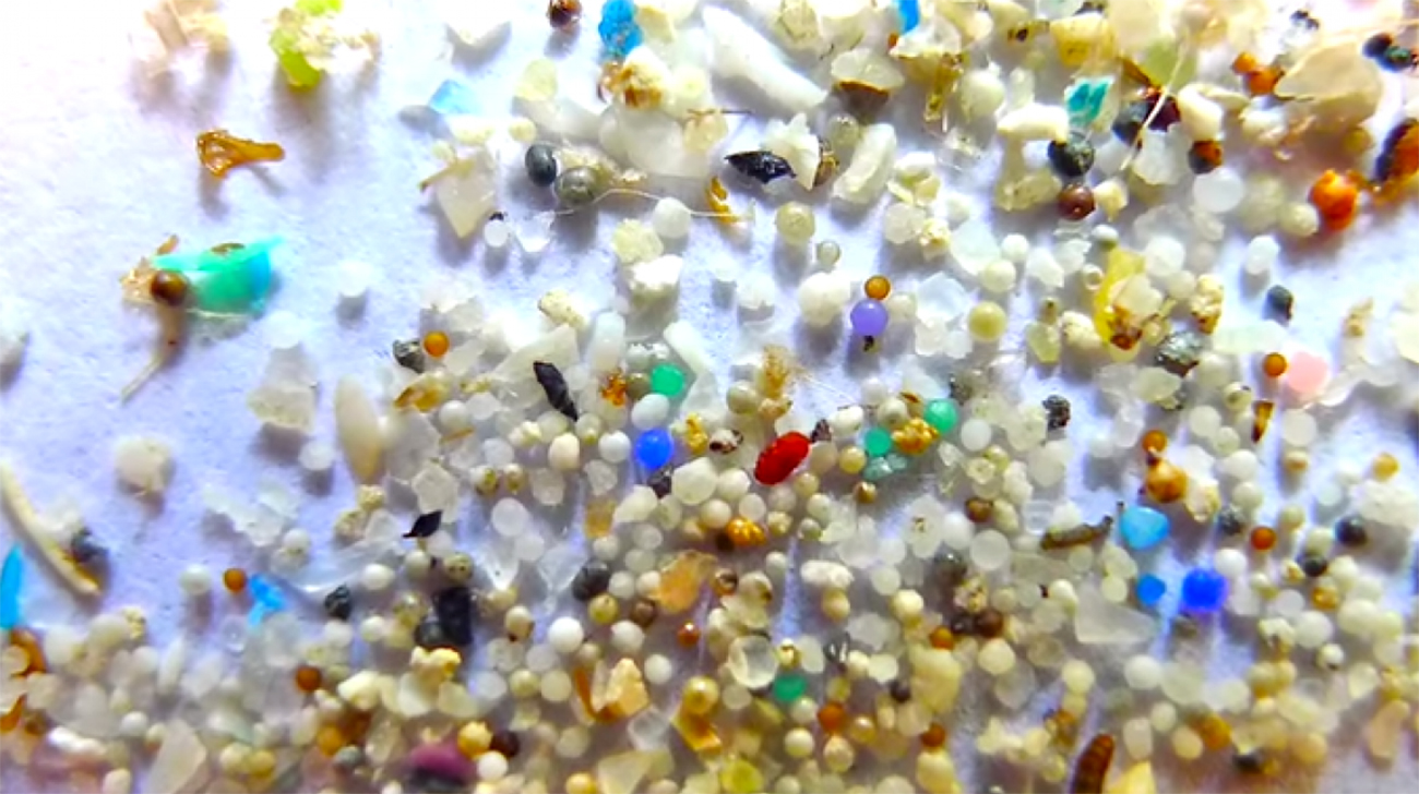 Clean-and-Clear-2WB.jpg