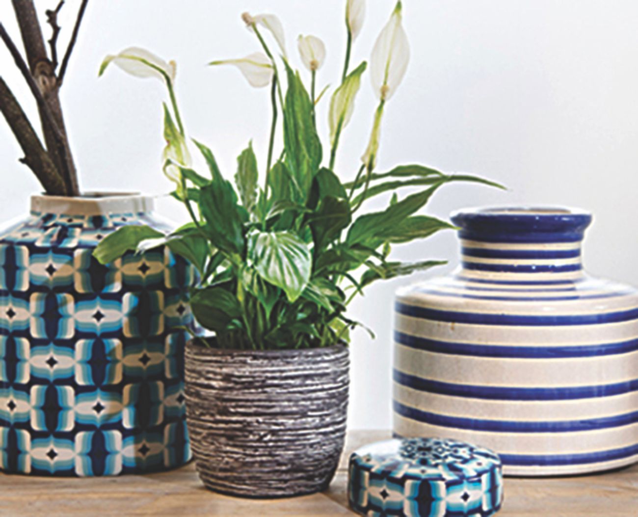 clean_air_in_the_home
