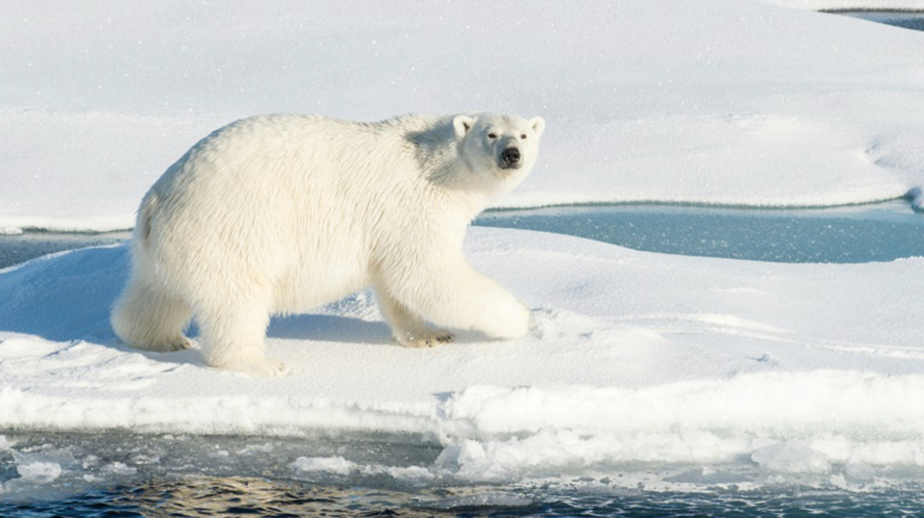 climate-4.jpg
