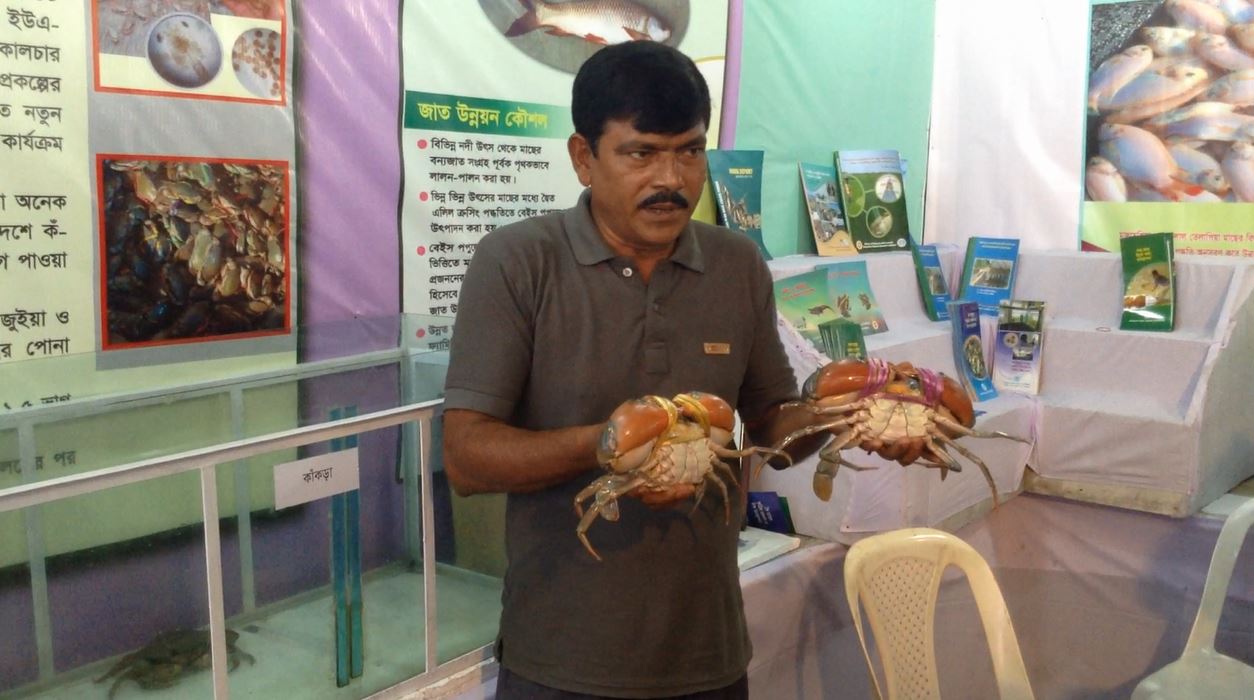 crab.JPG