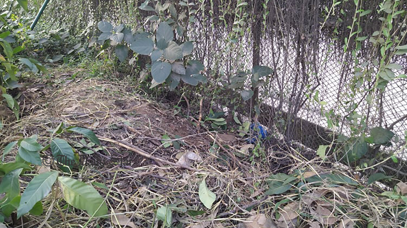 Crime Scene