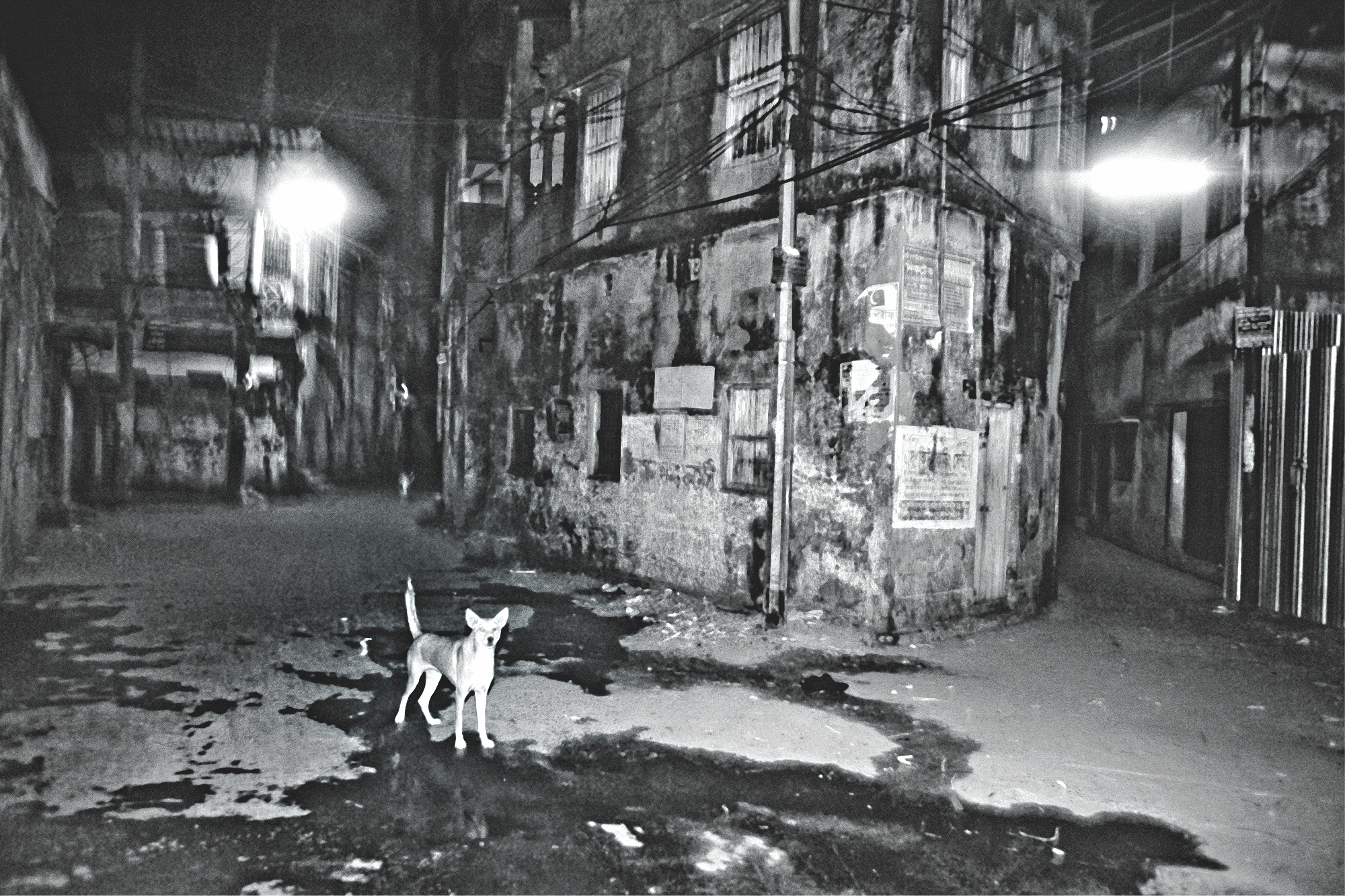 dhaka_depictions_4.jpg