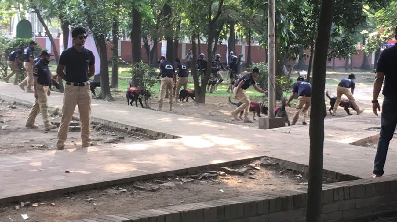 dog-squad-wb_0.jpg
