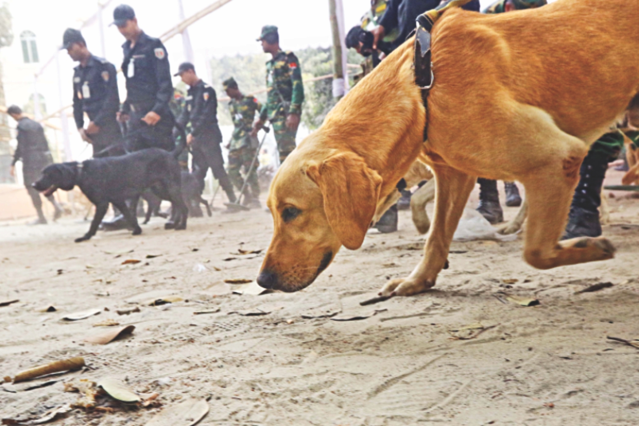 dog squad.jpg