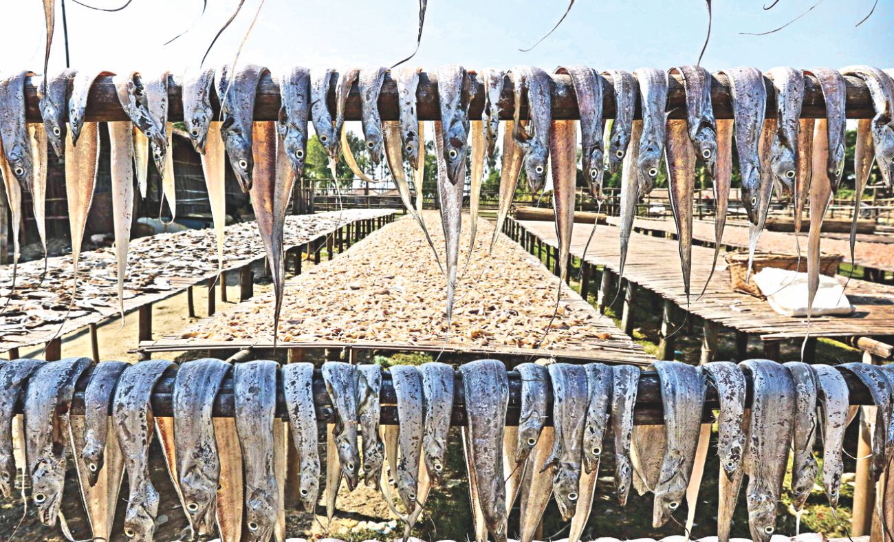 dried fish 2.jpg