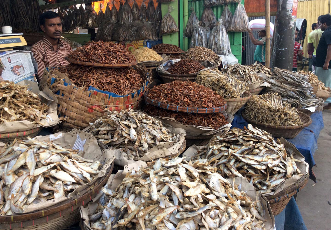 Dry-fish-photo-03-web.jpg