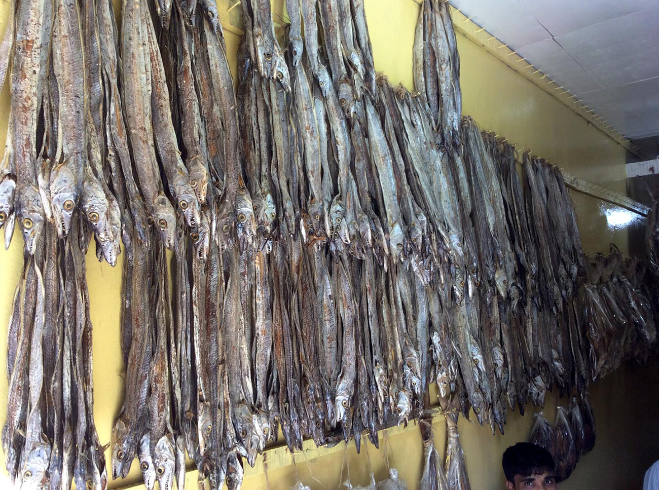 Dry-fish-photo-04-web.jpg