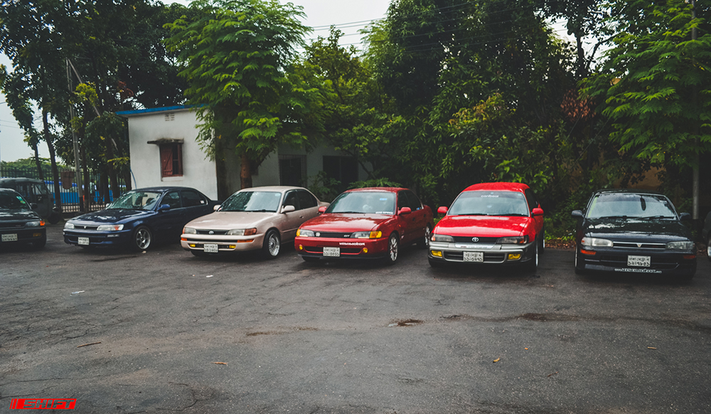 DSC_0233.jpg