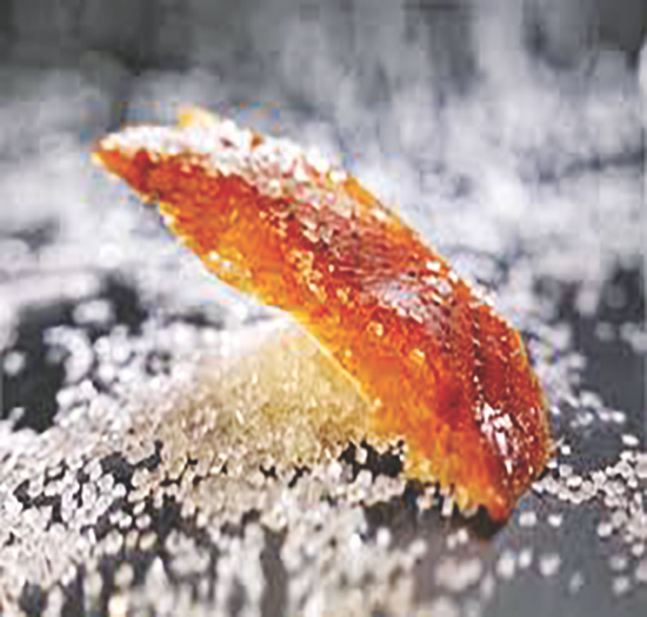 duck_dishes_to_warm_you_up_this_winter1.jpg