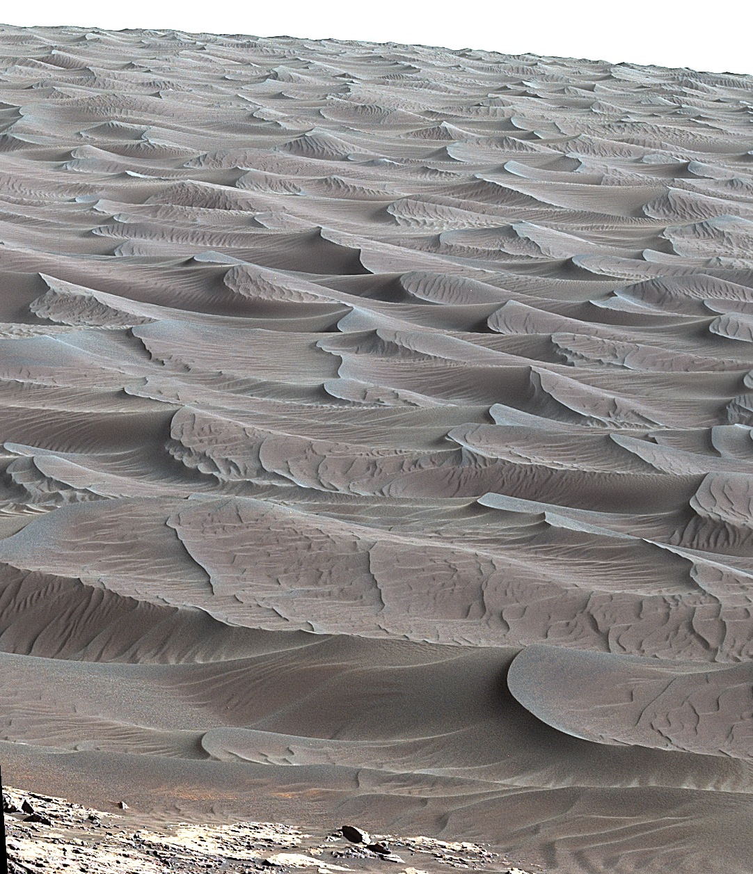 dune 2.jpg