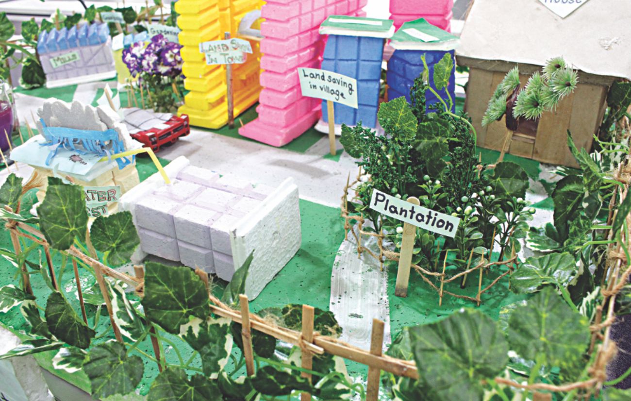 Environmental Activism