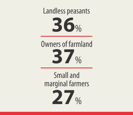 farm_growth_info.jpg