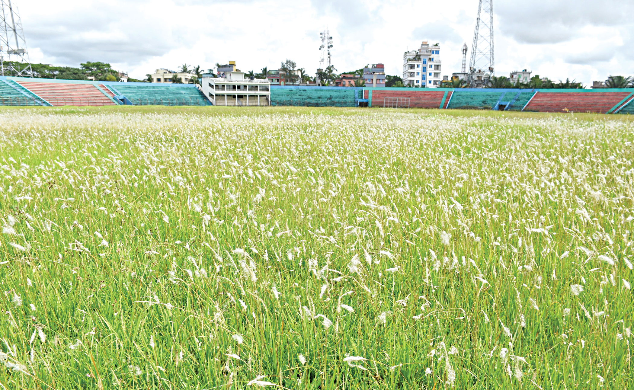 field_2.jpg