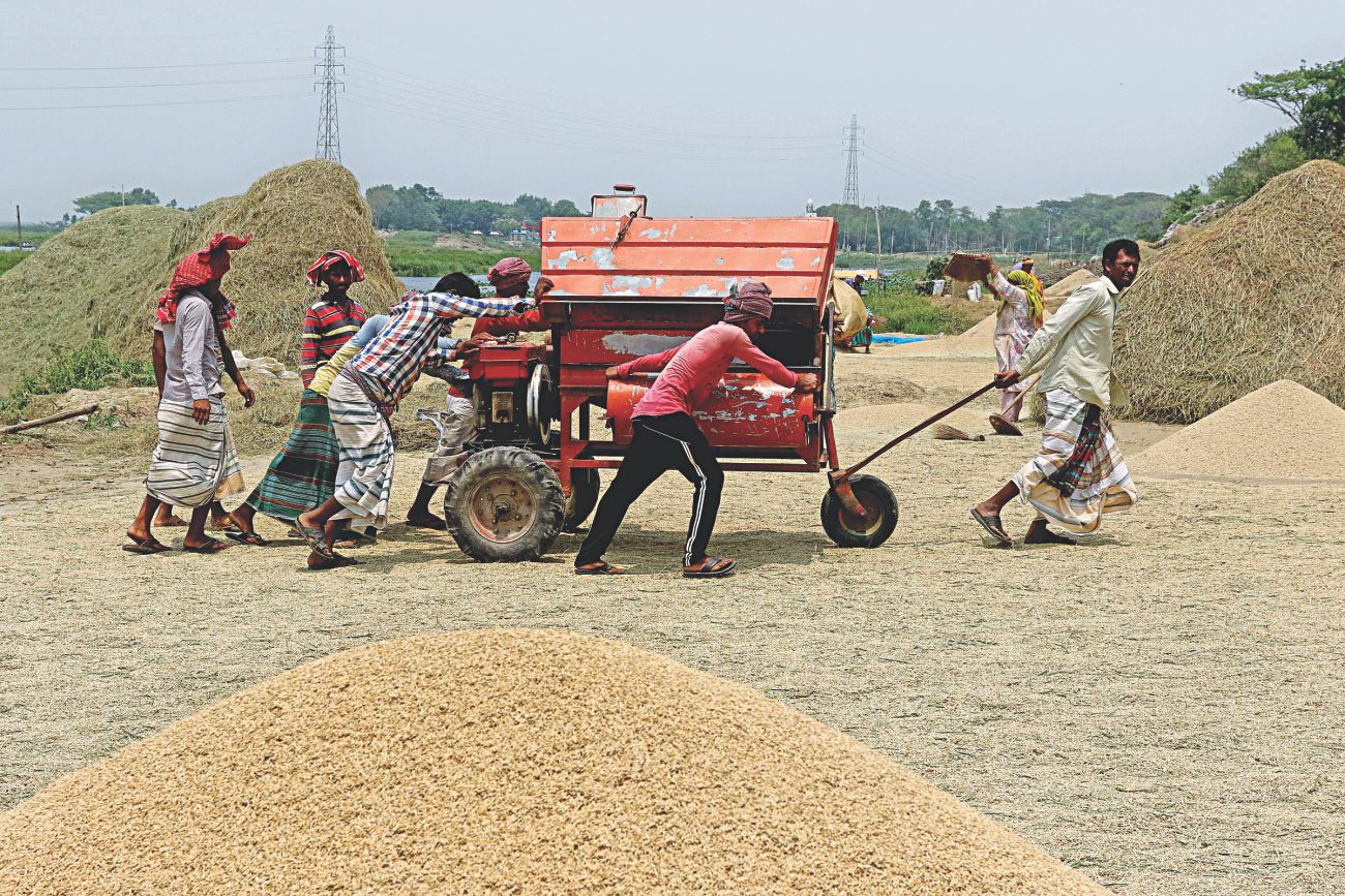 fields_of_gold2.jpg