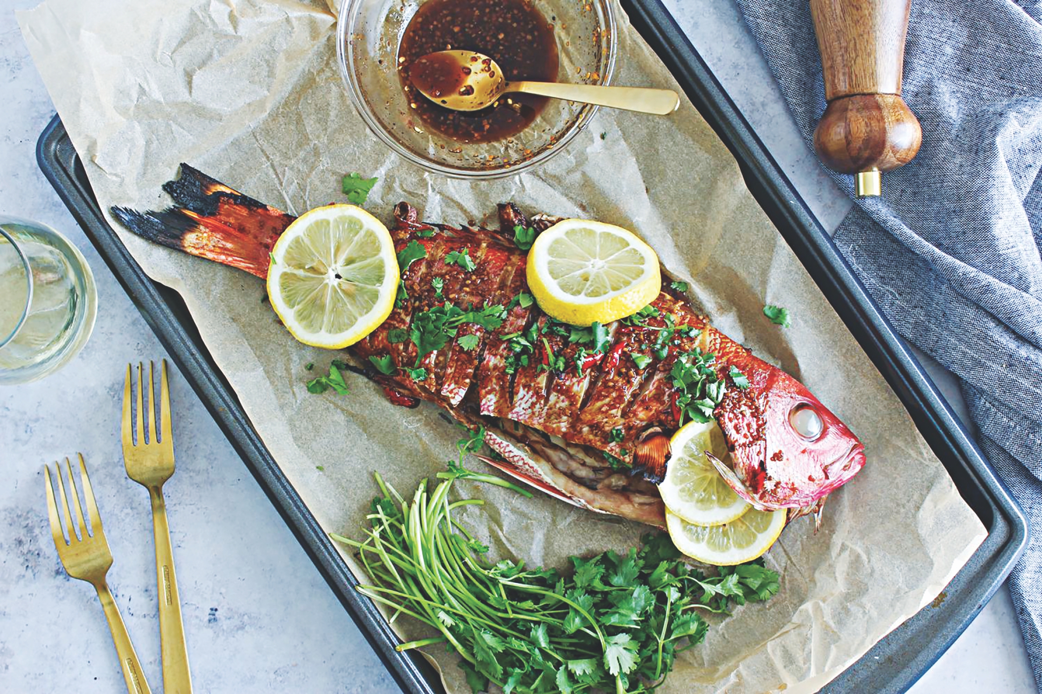 fish1_1.jpg