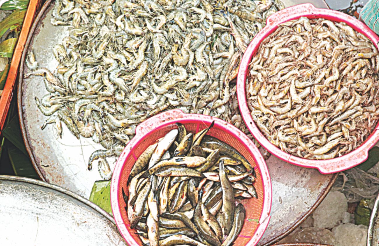 Fish fanatic's day out