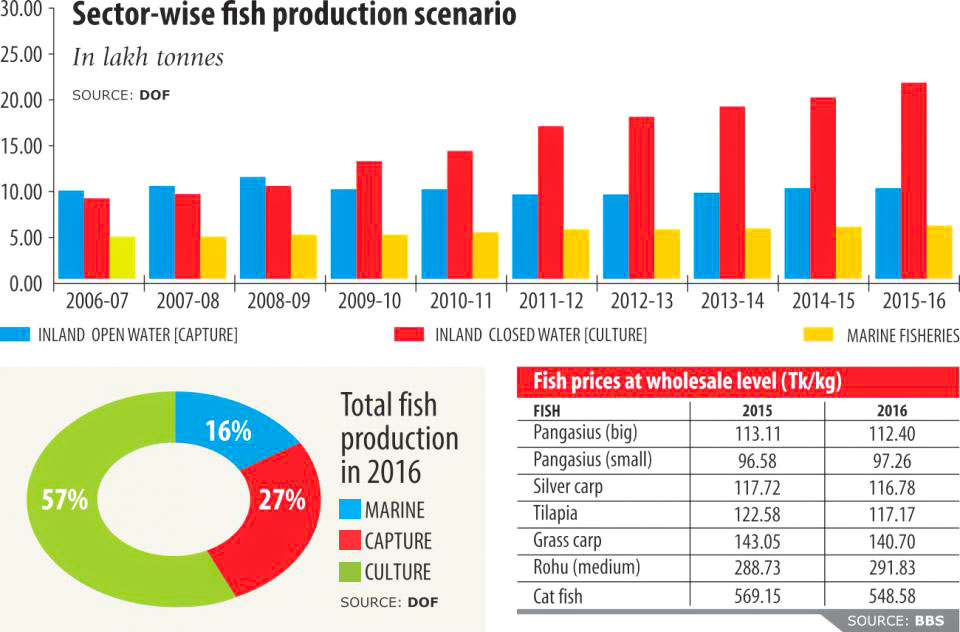 fish_farming_bogged_2_0.jpg