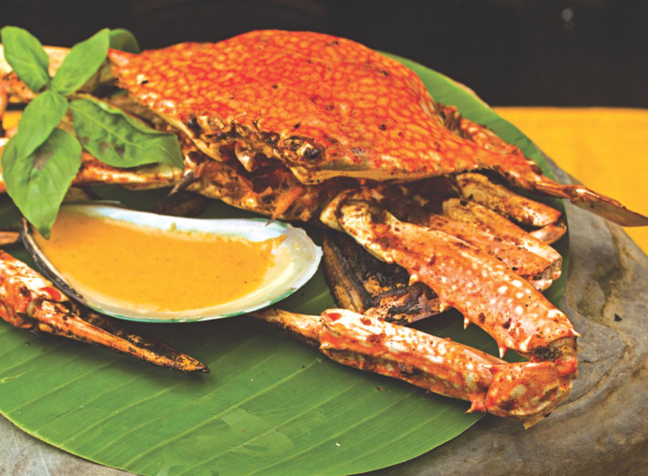 Fish Favourites