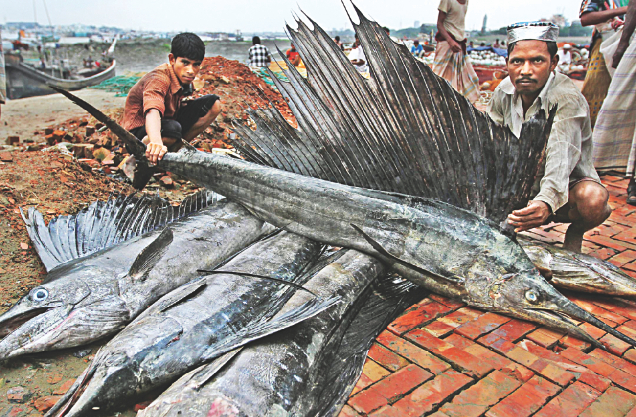 Fisheryghat 2.jpg