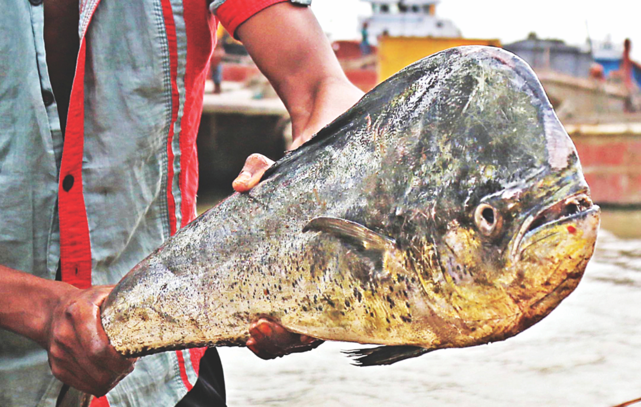 Fisheryghat 4.jpg