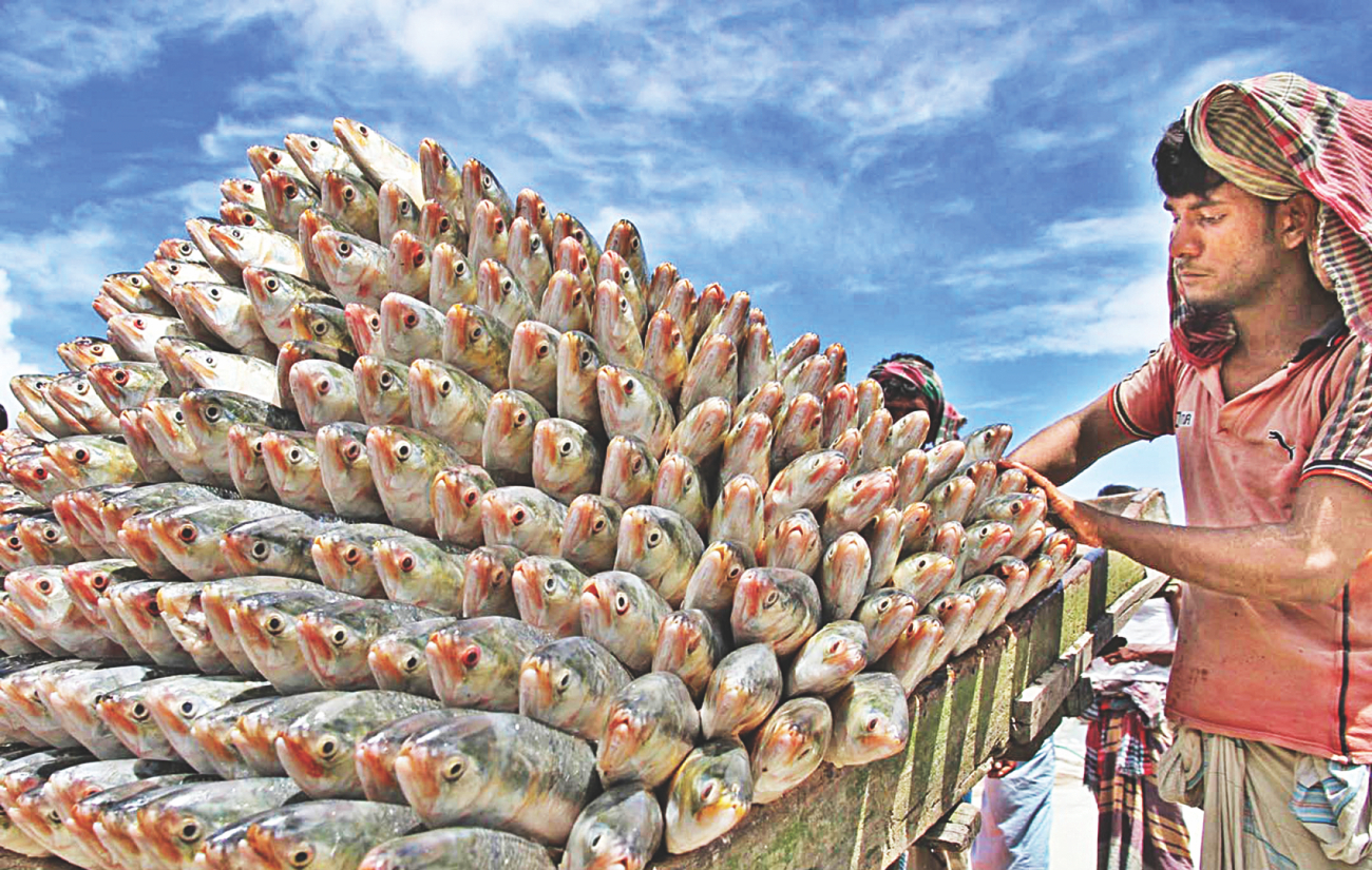 Fisheryghat 6.jpg