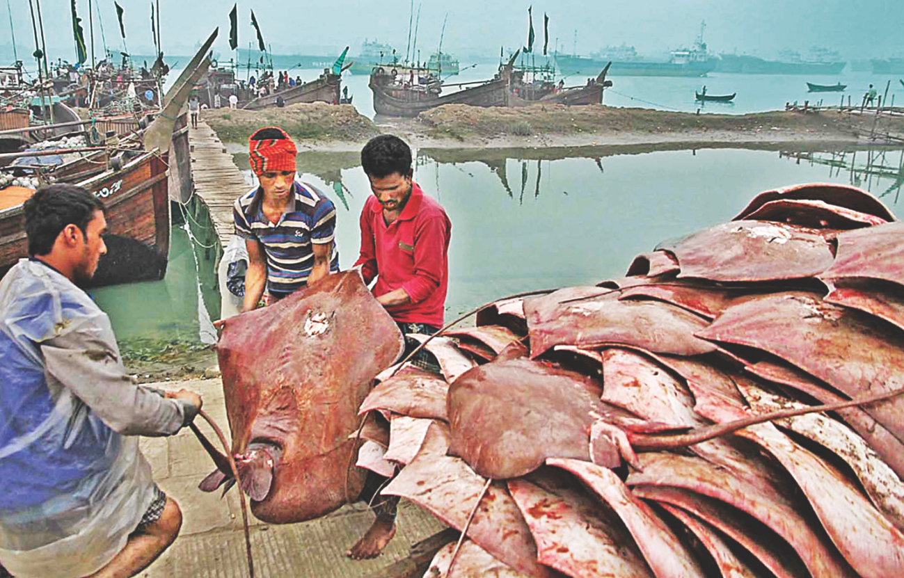 Fisheryghat 8.jpg