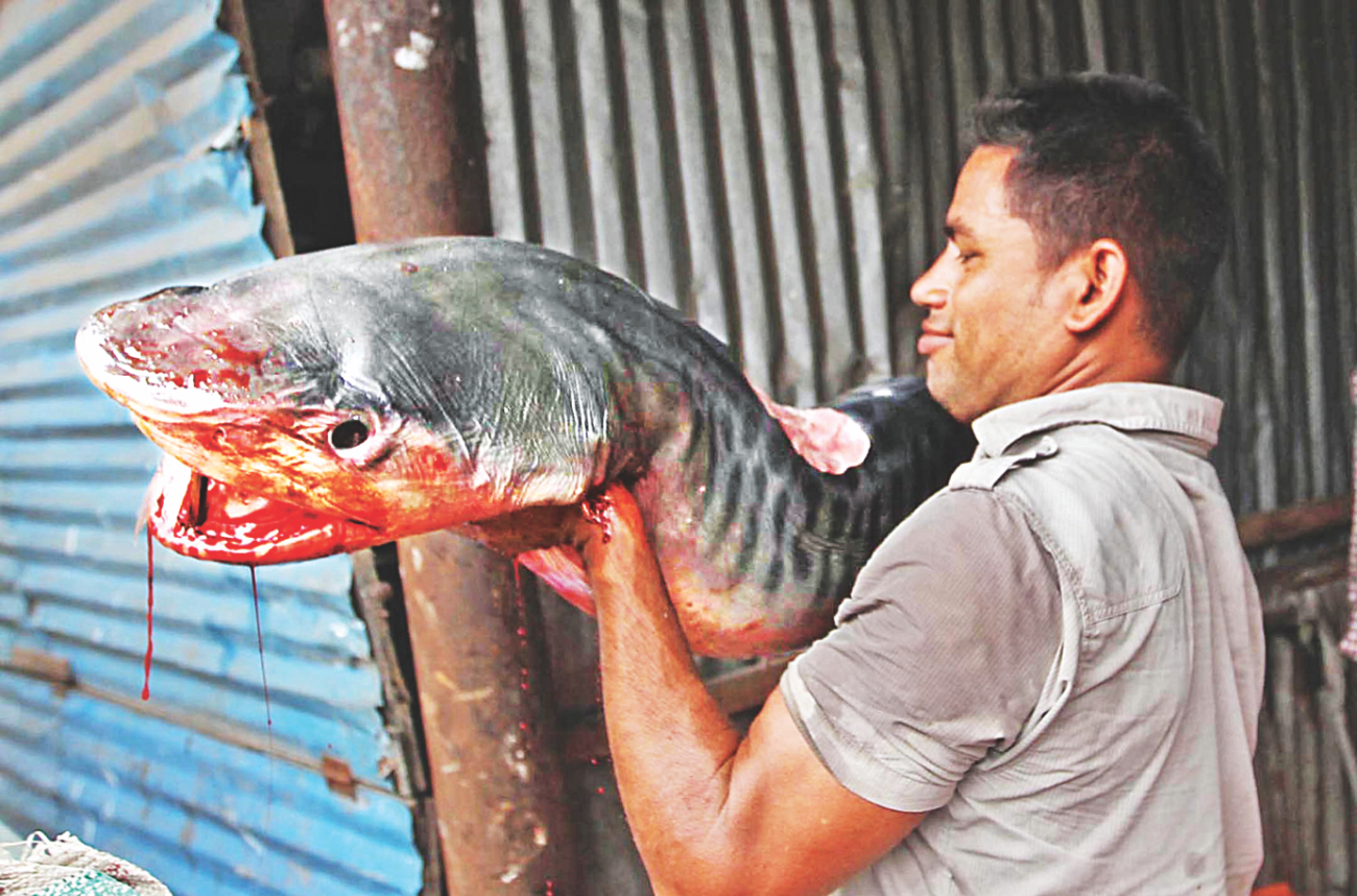 Fisheryghat 9.jpg