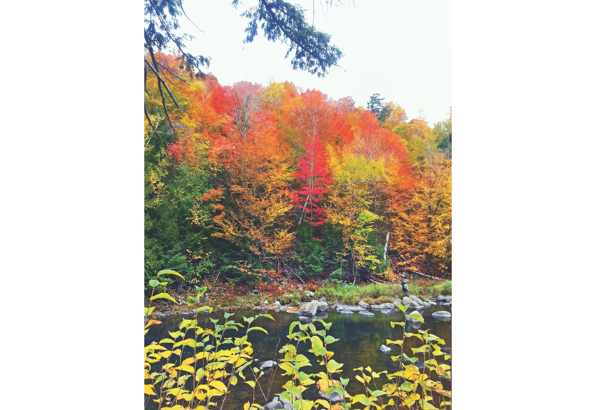 flaming_colours_1.jpg