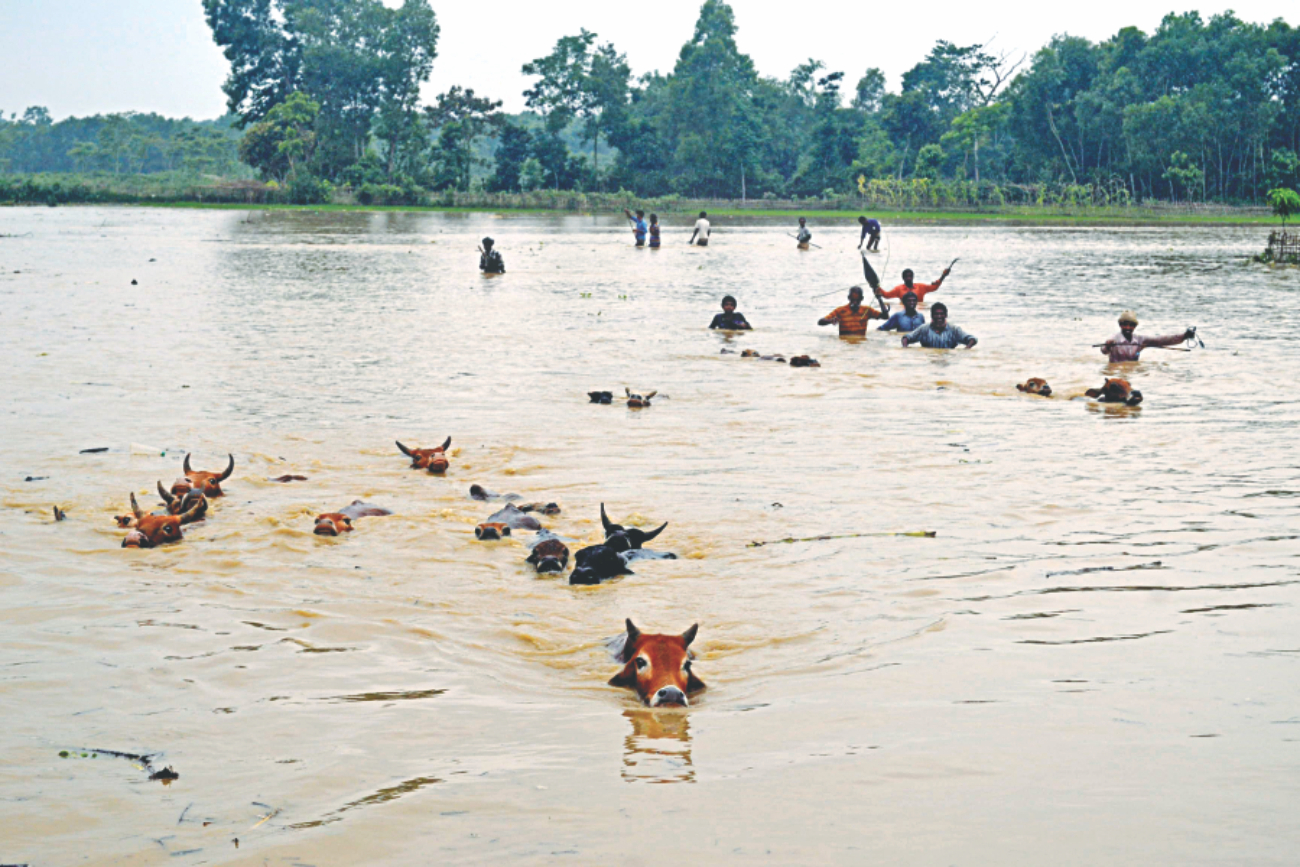 flood-hit_4.jpg