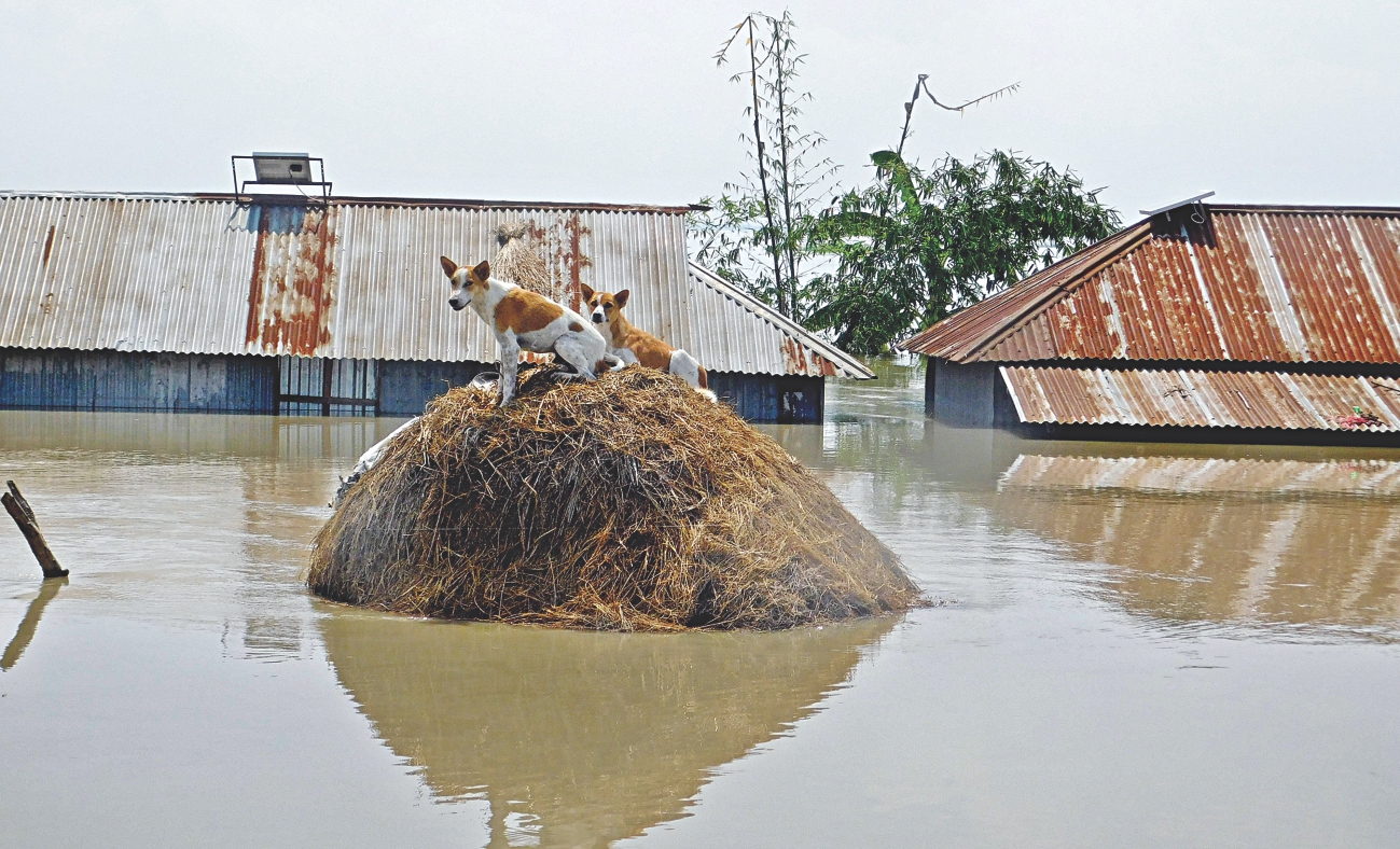 flood3_1.jpg