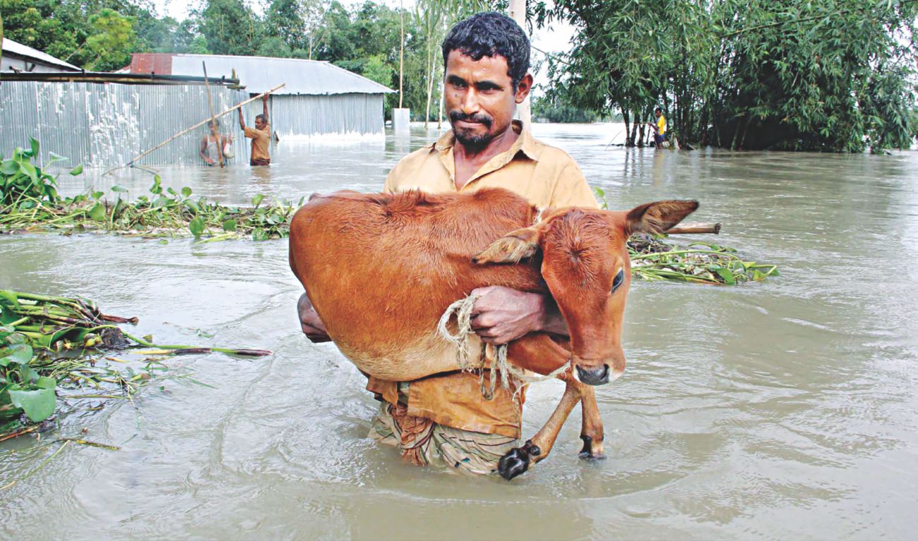 flood_5_0.jpg