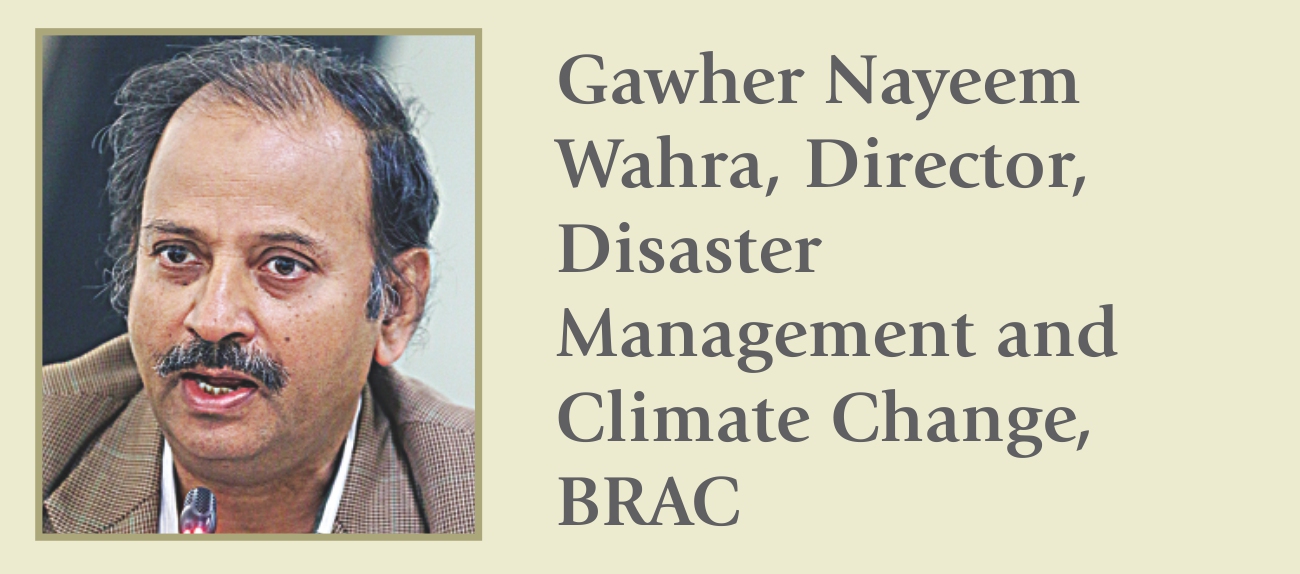 Gawher Nayeem.jpg