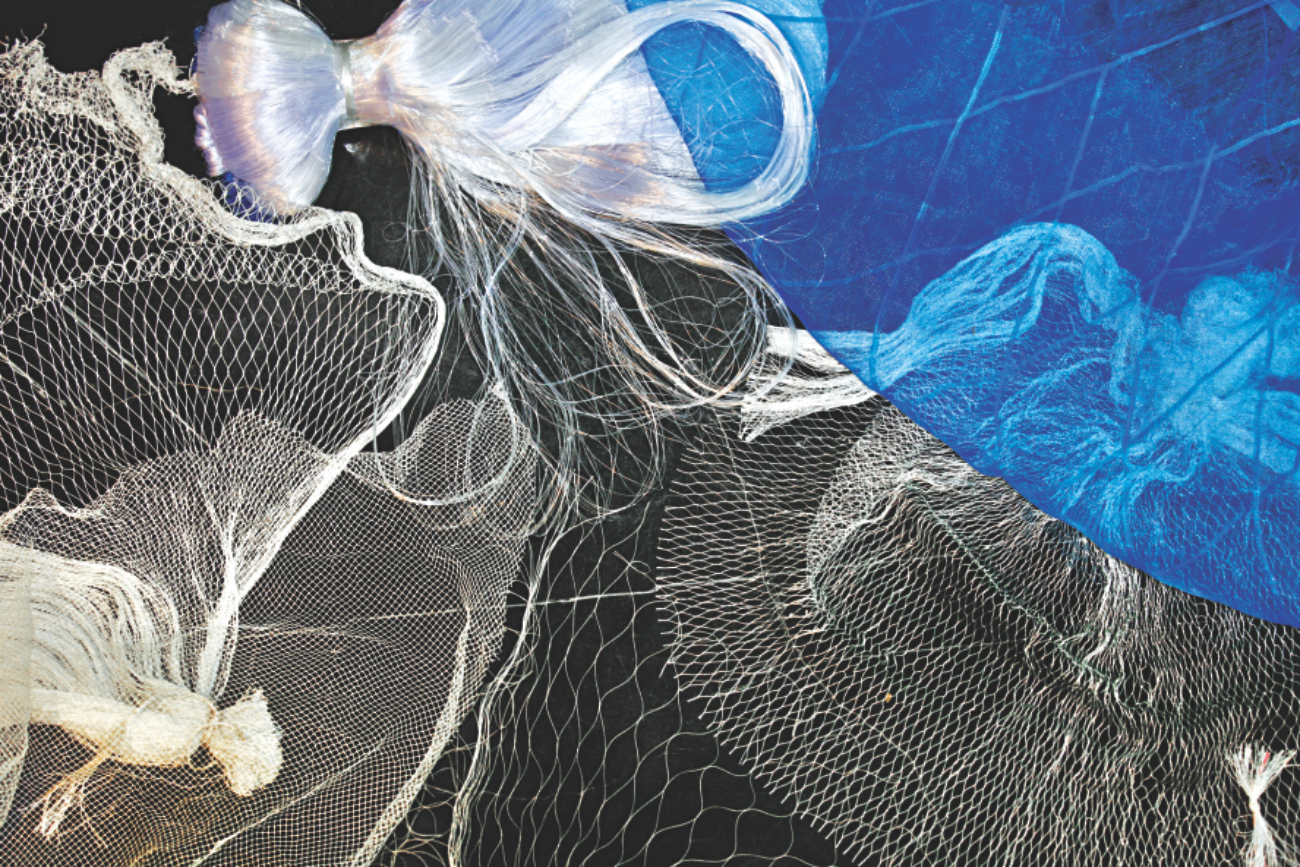 gill net 2.jpg
