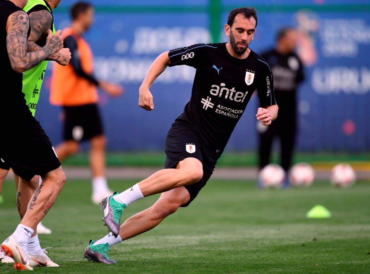 godin_0.jpg