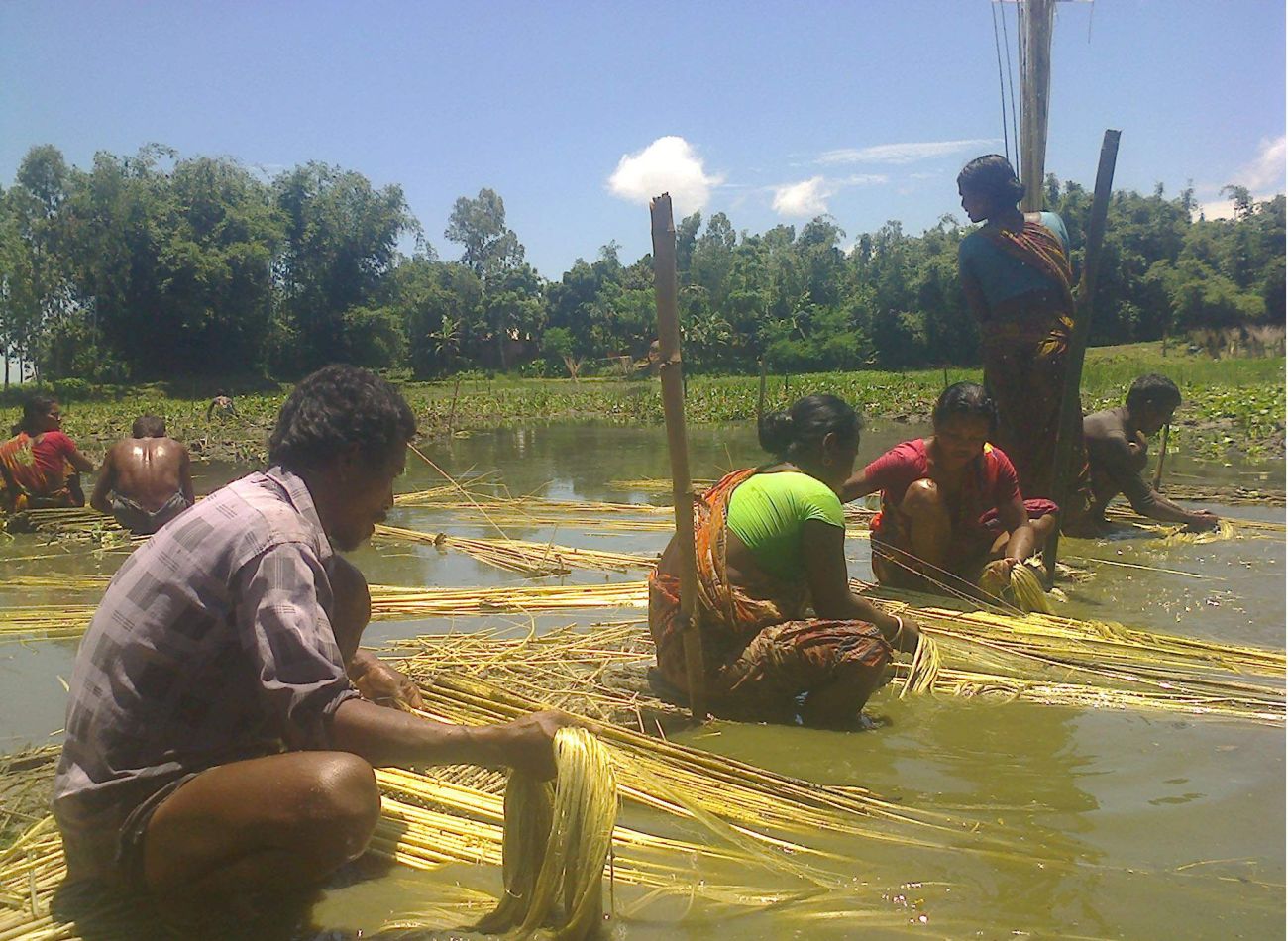 good price jute 2.jpg