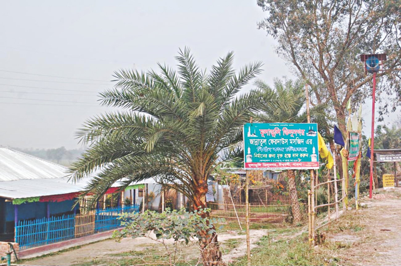govt land 3.jpg