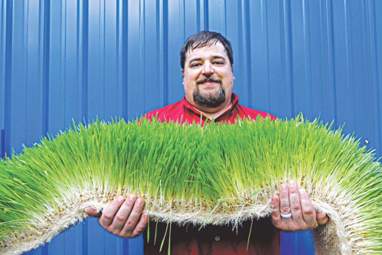 grass_1.jpg