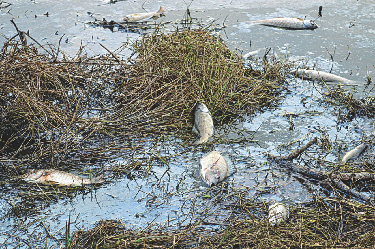 halda_pollution_1.jpg