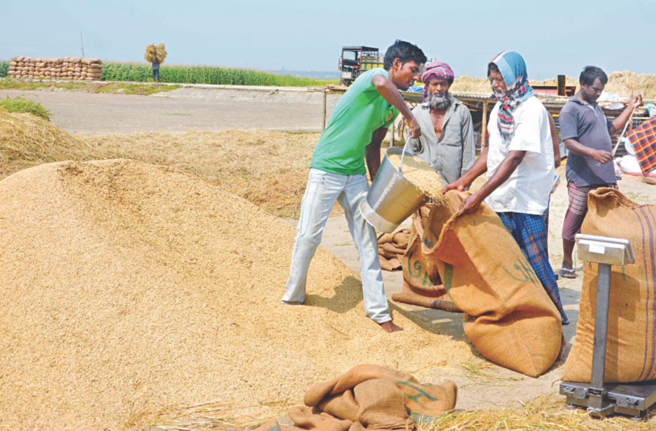 harvest_fest_3.jpg