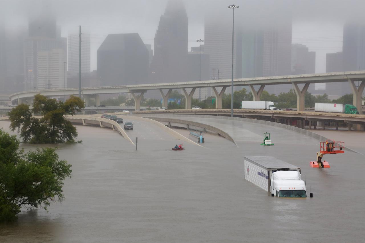 harvey.jpg