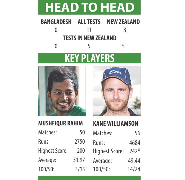 head to head.jpg