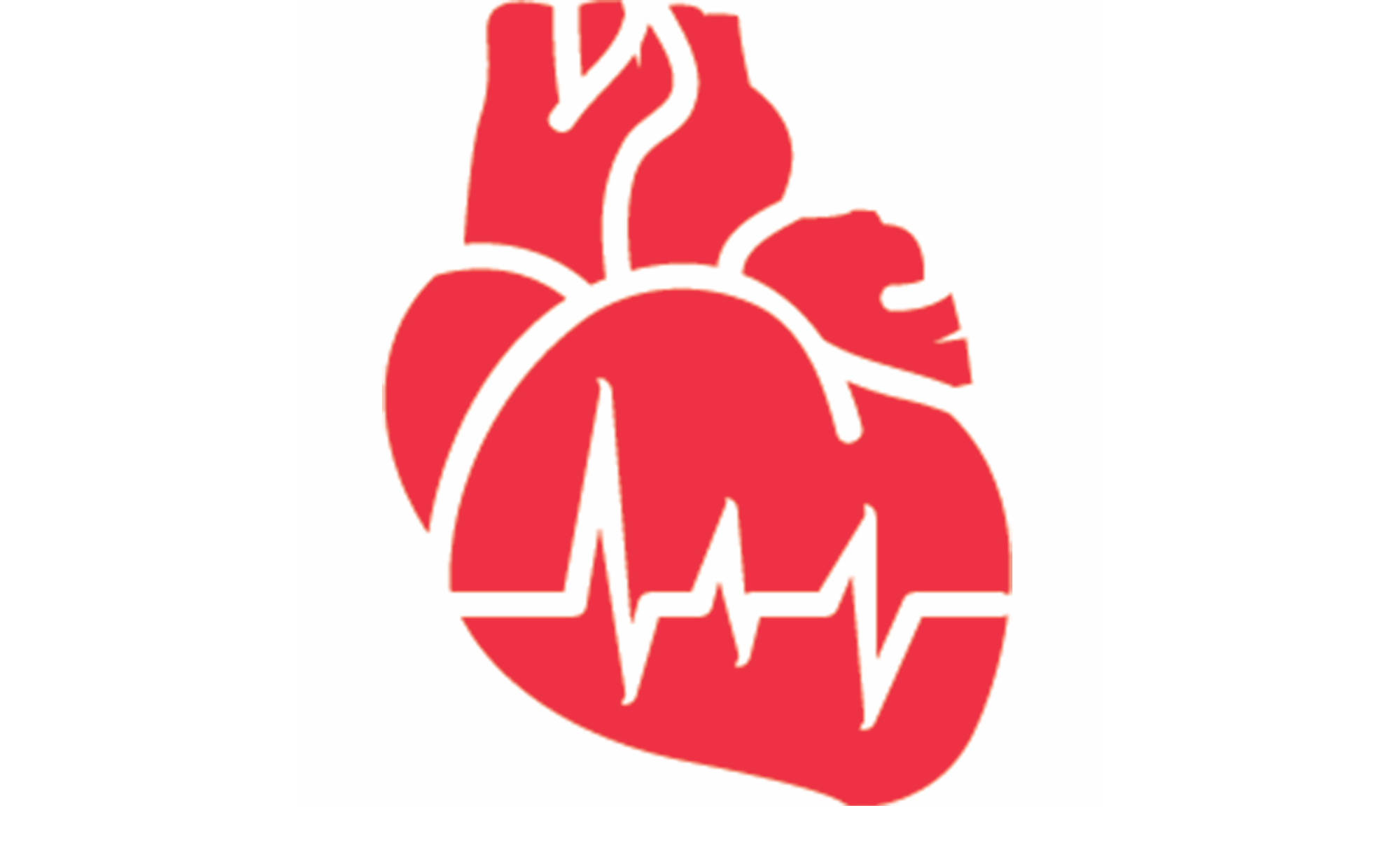 Human Heart