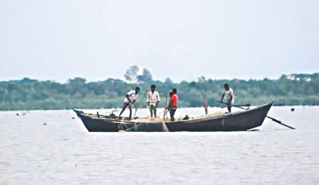 hilsha_netting_1.jpg