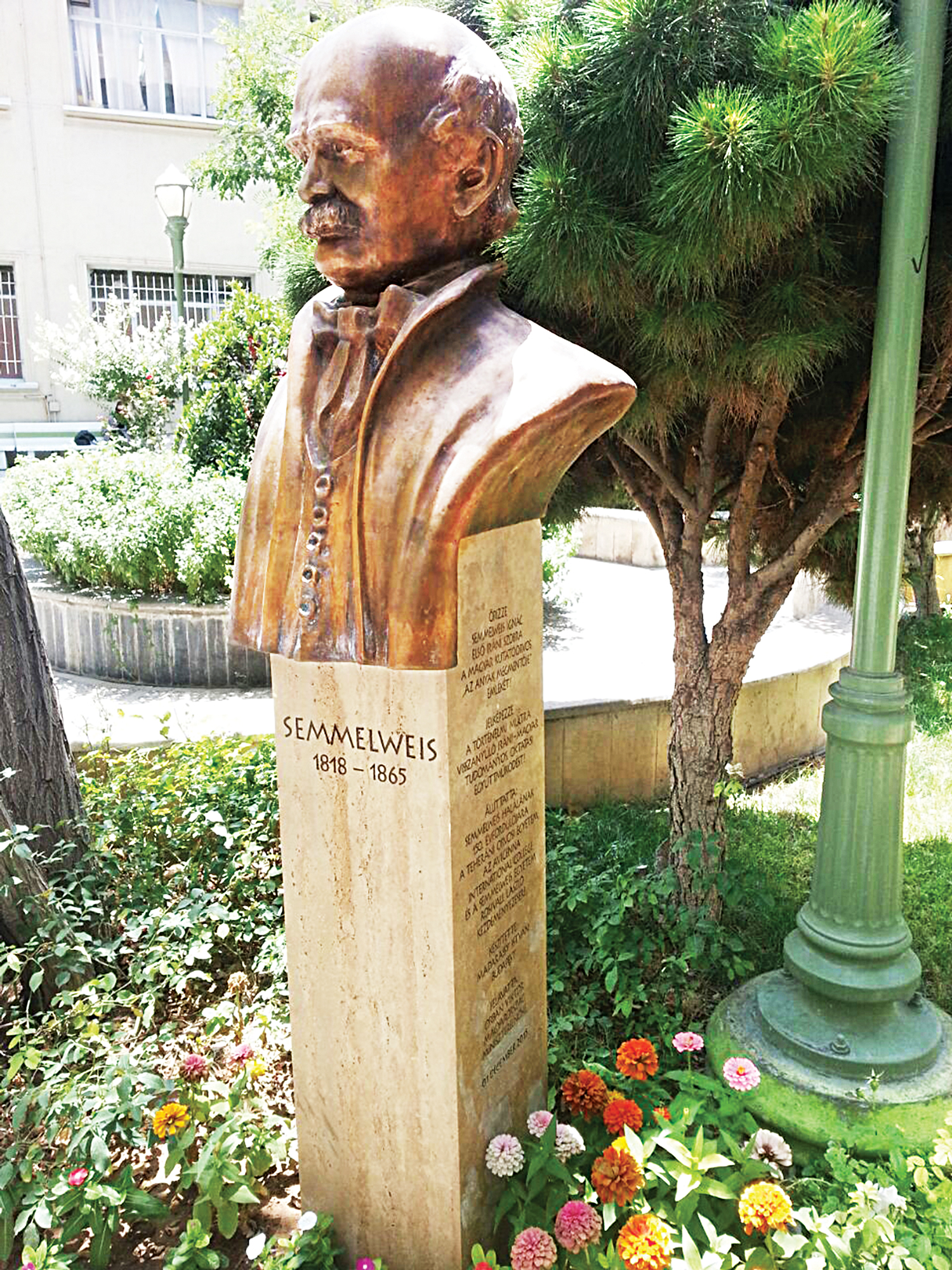 ignaz4.jpg