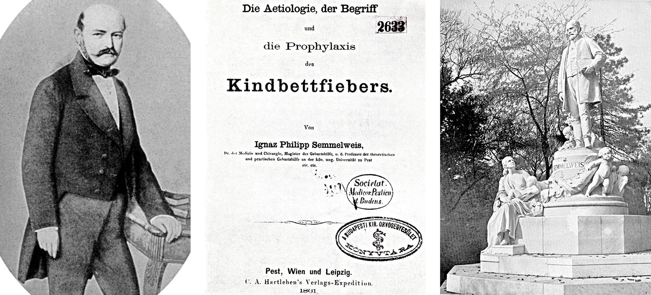 ignaz6.jpg
