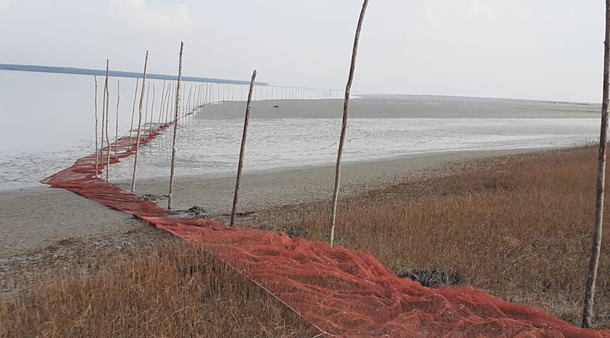 illegal_nets_coastal_area_2.jpg