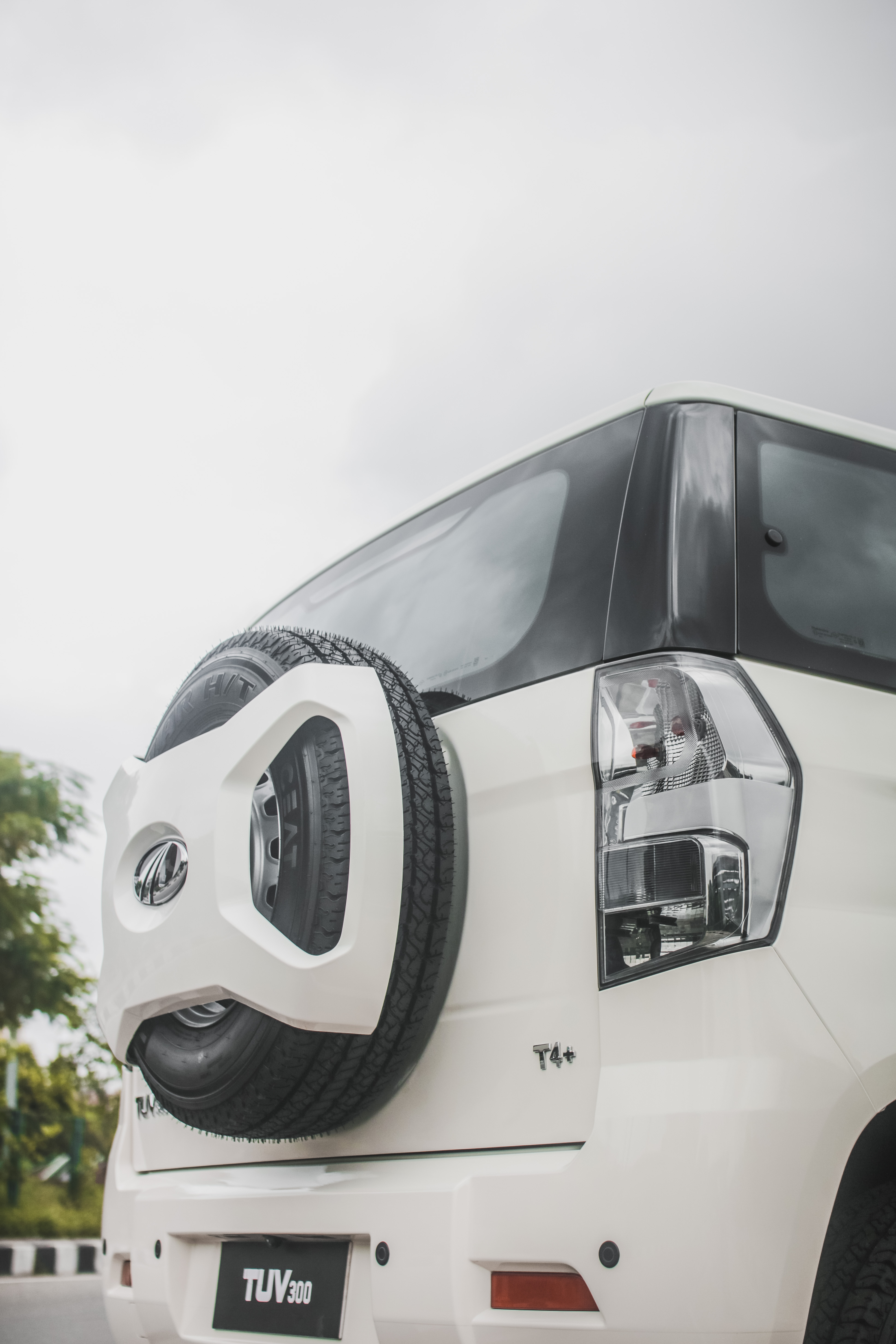 Tuv 300 rear.jpg
