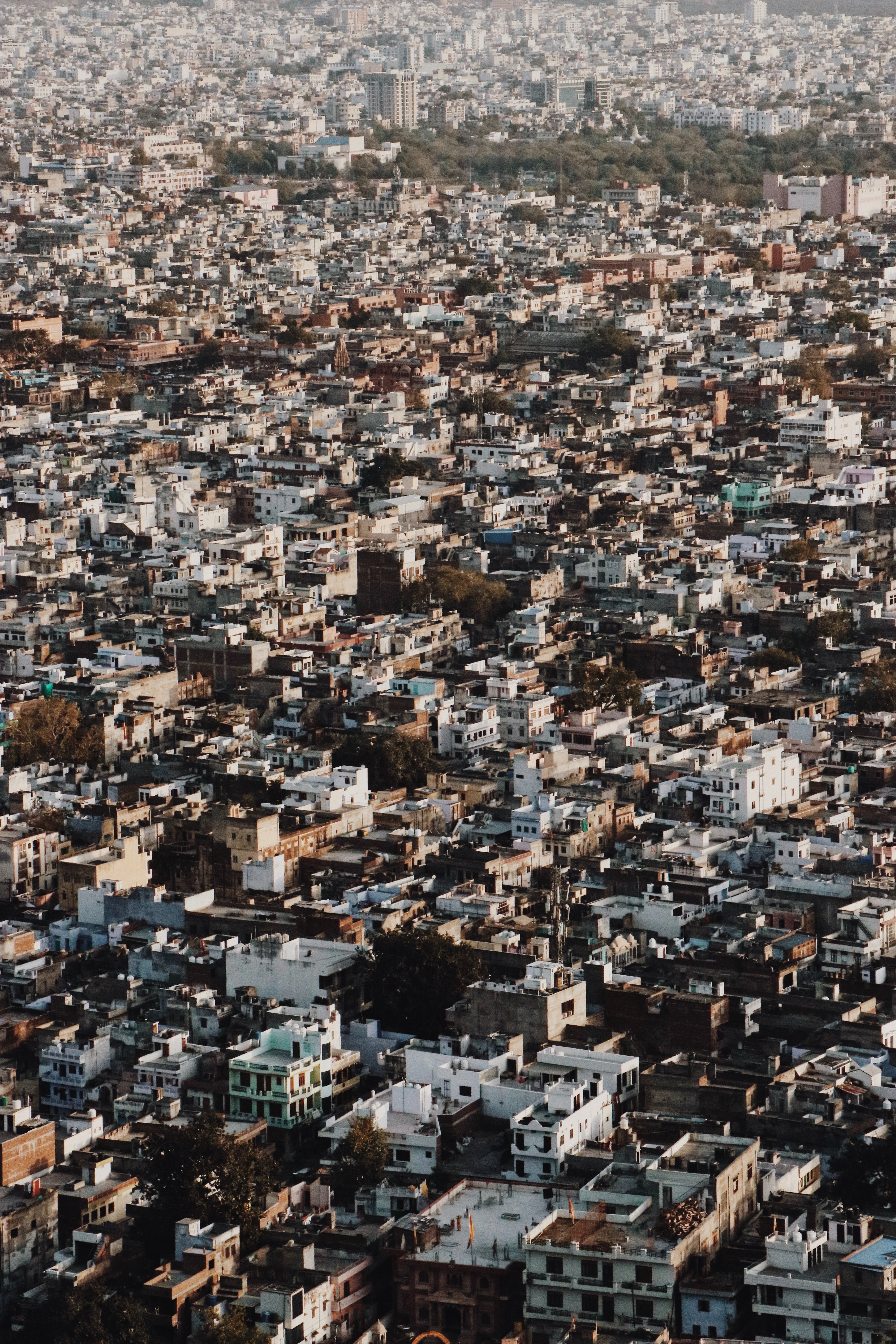 isabella-juskova-becrtveml_w-unsplash_1.jpg