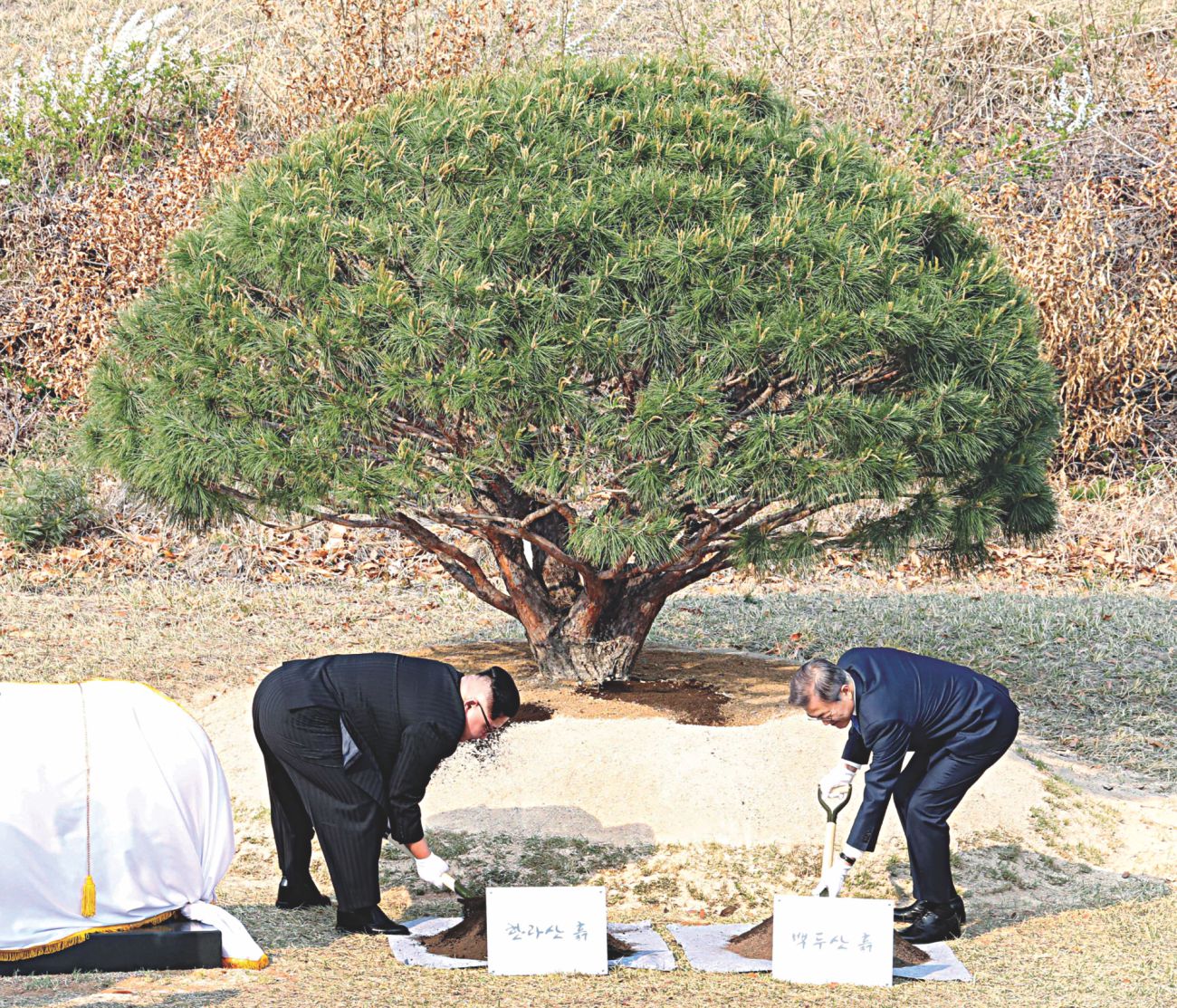 koreans_meet.jpg