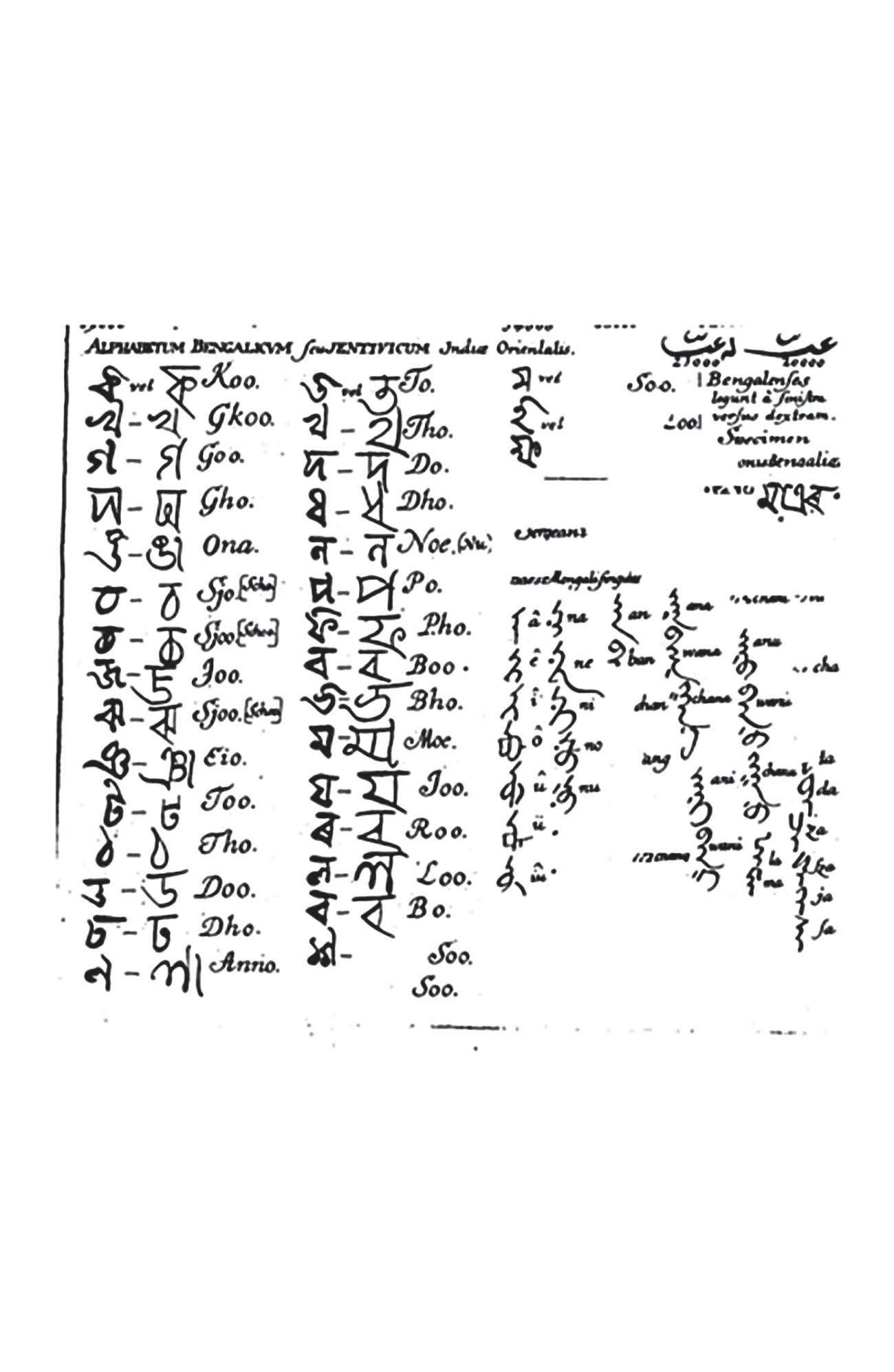 language_question